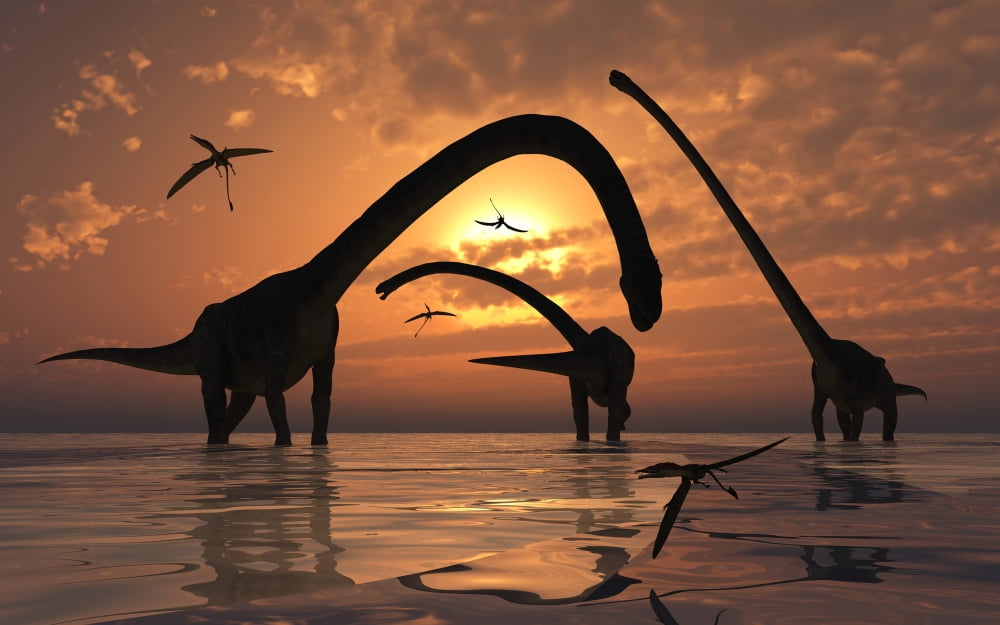 A herd of Omeisaurus sauropod dinosaurs in shallow water Canvas Art - Mark StevensonStocktrek Images (36 x 23)