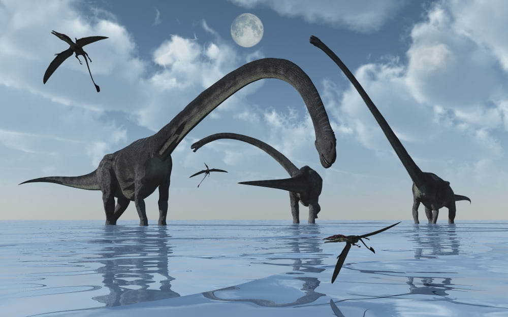 A herd of Omeisaurus sauropod dinosaurs in shallow water Canvas Art - Mark StevensonStocktrek Images (36 x 23)