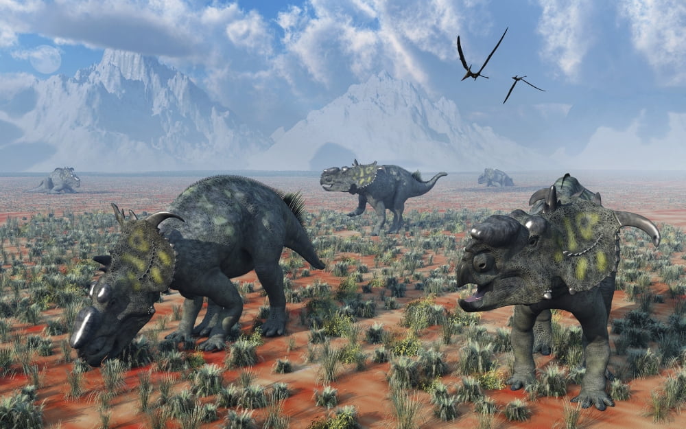 A herd of Pachyrhinosaurus dinosaurs Canvas Art - Mark StevensonStocktrek Images (18 x 12)
