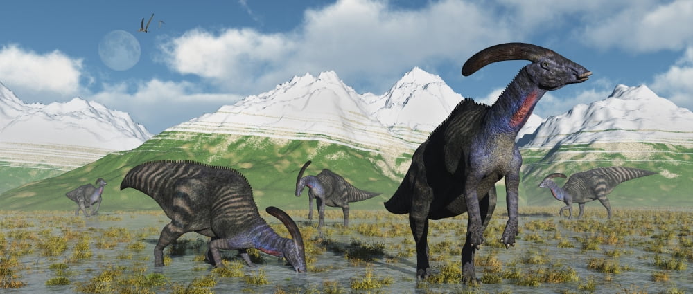 A herd of Parasaurolophus dinosaurs during Earths Cretaceous period Canvas Art - Mark StevensonStocktrek Images (22 x 10)