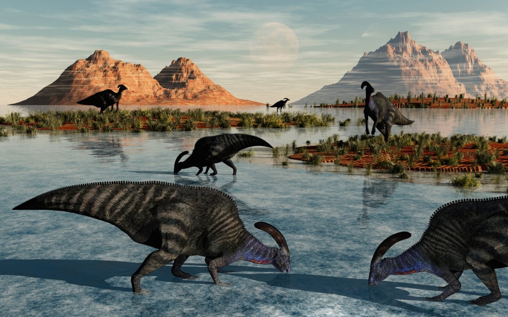 A herd of Parasaurolophus duckbill dinosaurs grazing Canvas Art - Mark StevensonStocktrek Images (36 x 23)