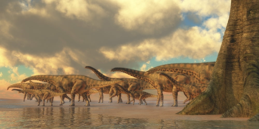A herd of Spinosphorosaurus Canvas Art - Corey FordStocktrek Images (40 x 20)