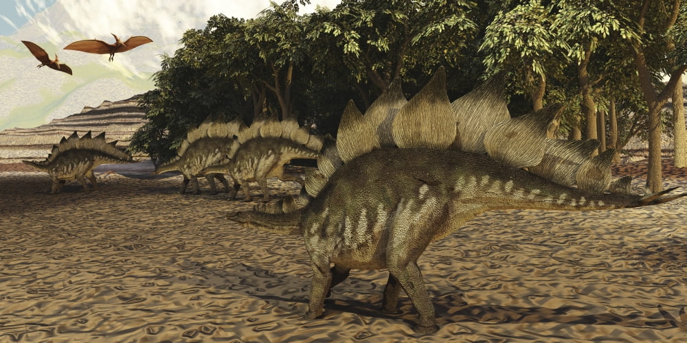 A herd of Stegosaurus walk down a muddy riverbed Canvas Art - Corey FordStocktrek Images (40 x 20)