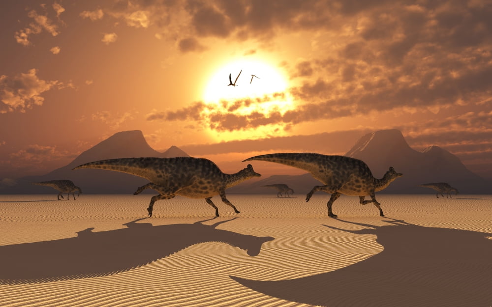 A herd of Velafrons Hadrosaur dinosaurs during the Cretaceous Period Canvas Art - Mark StevensonStocktrek Images (18 x 12)