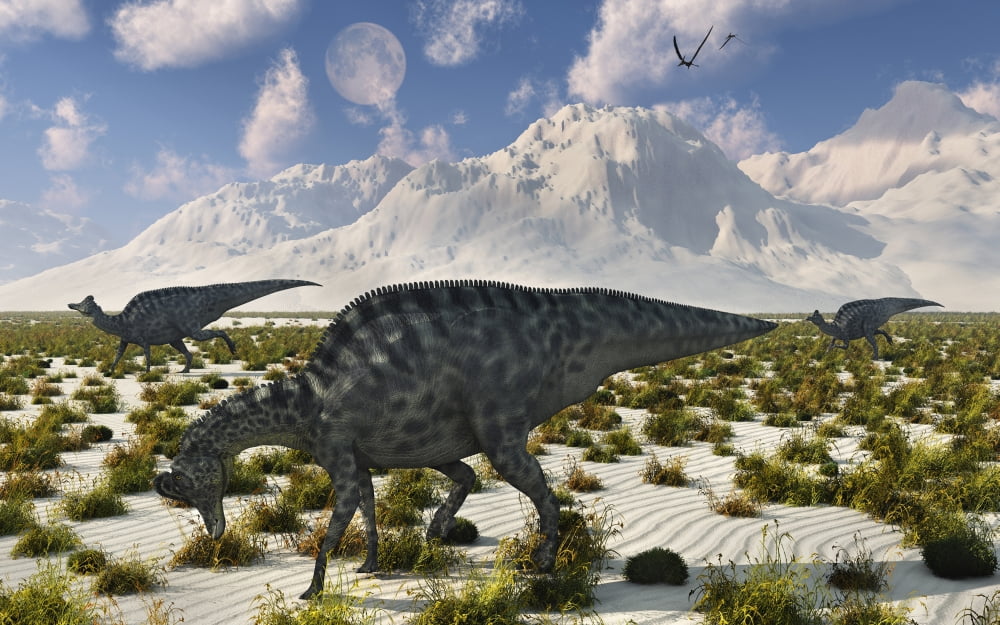 A herd of Velafrons hadrosaurid dinosaurs during the Cretaceous Period Canvas Art - Mark StevensonStocktrek Images (36 x 23)