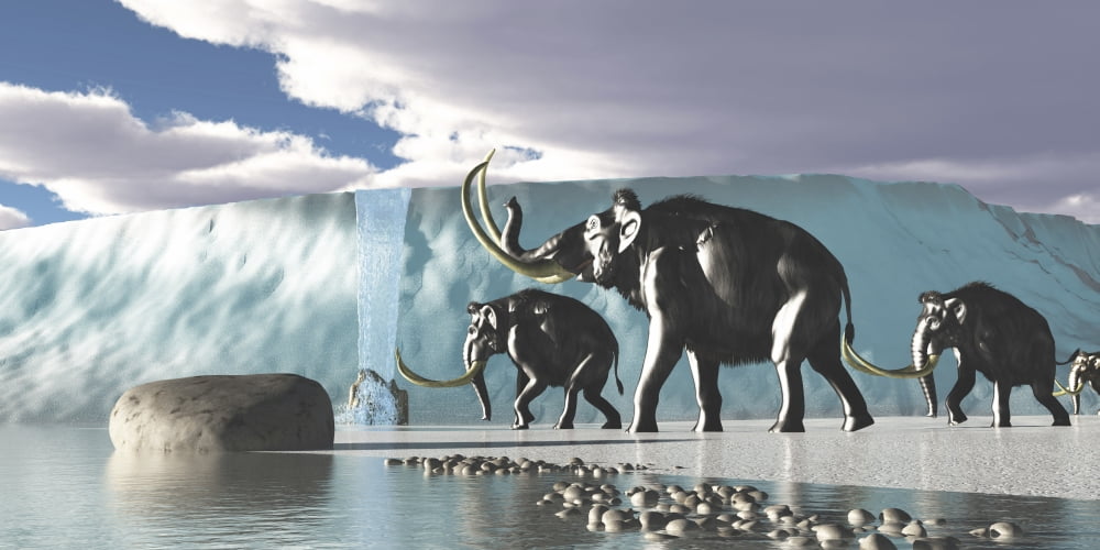 A herd of Woolly Mammoths encounter a huge glacier covering the Arctic territory Canvas Art - Corey FordStocktrek Images (20 x 10)