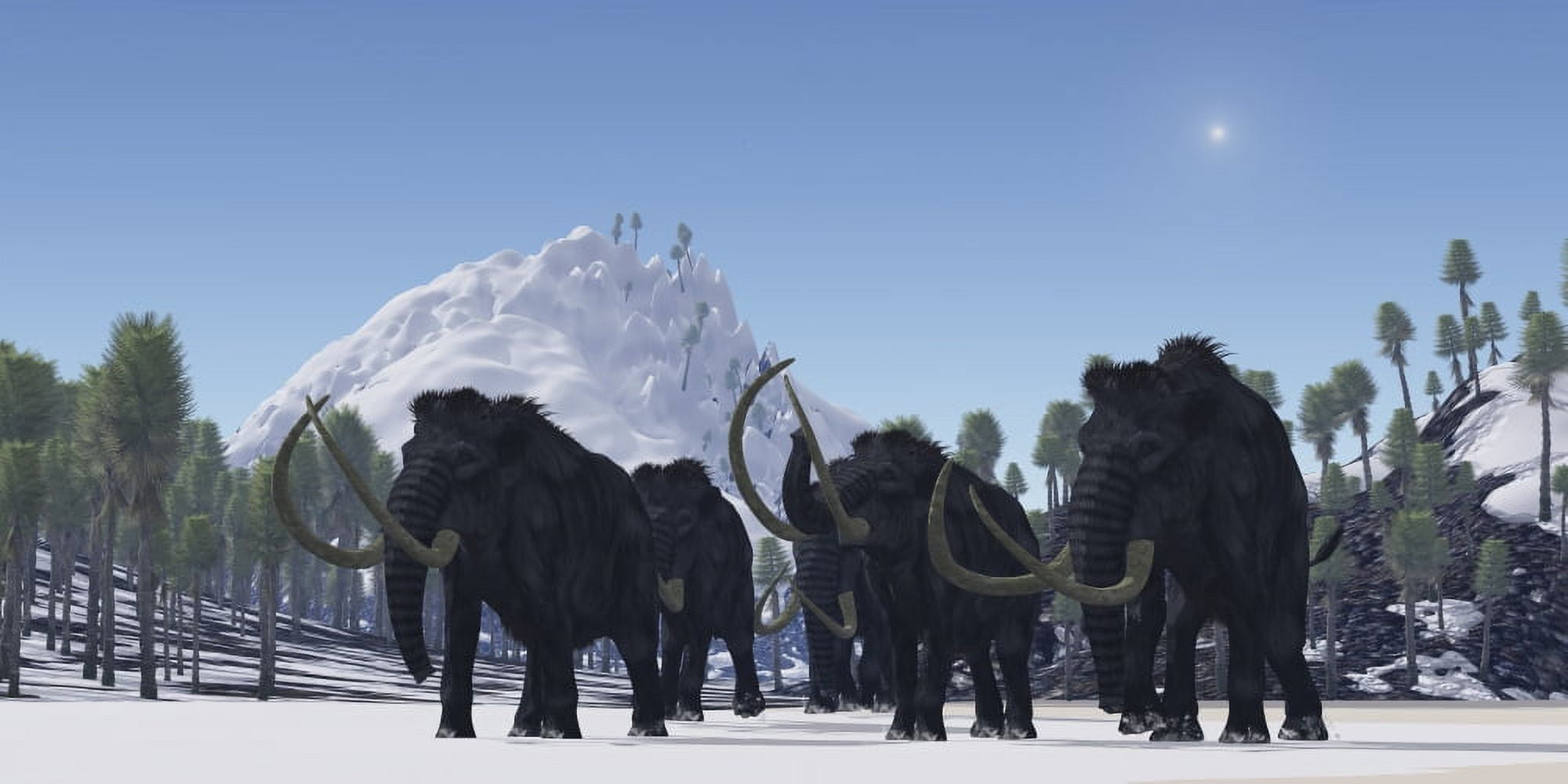 A herd of Woolly Mammoths migrate to a warmer climate in the Pleistocene Age Canvas Art - Corey FordStocktrek Images (20 x 10)