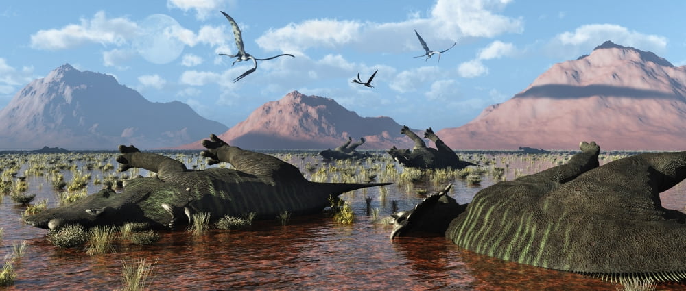 A herd of dead Centrosaurus dinosaurs killed by a flash flood Canvas Art - Mark StevensonStocktrek Images (22 x 10)