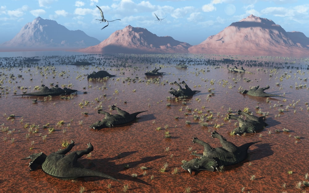 A herd of dead Centrosaurus dinosaurs killed by a flash flood Canvas Art - Mark StevensonStocktrek Images (36 x 23)