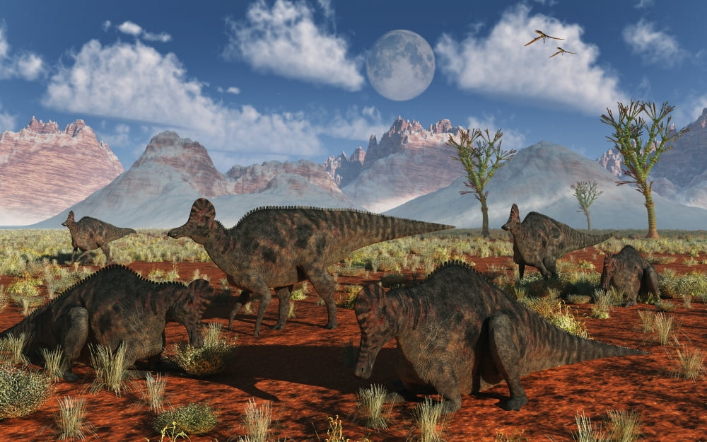 A herd of duckbilled Corythosaurus dinosaurs Canvas Art - Mark StevensonStocktrek Images (18 x 12)