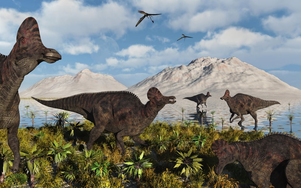 A herd of duckbilled Corythosaurus dinosaurs Canvas Art - Mark StevensonStocktrek Images (36 x 23)
