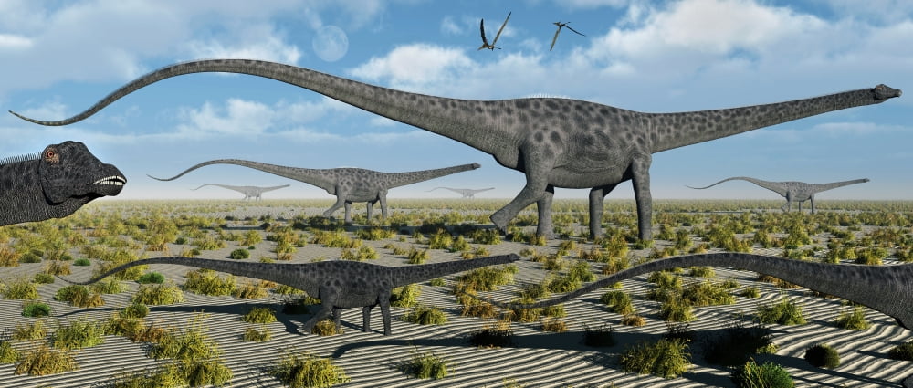 A herd of giant Diplodocus dinosaurs on the move Canvas Art - Mark StevensonStocktrek Images (43 x 19)