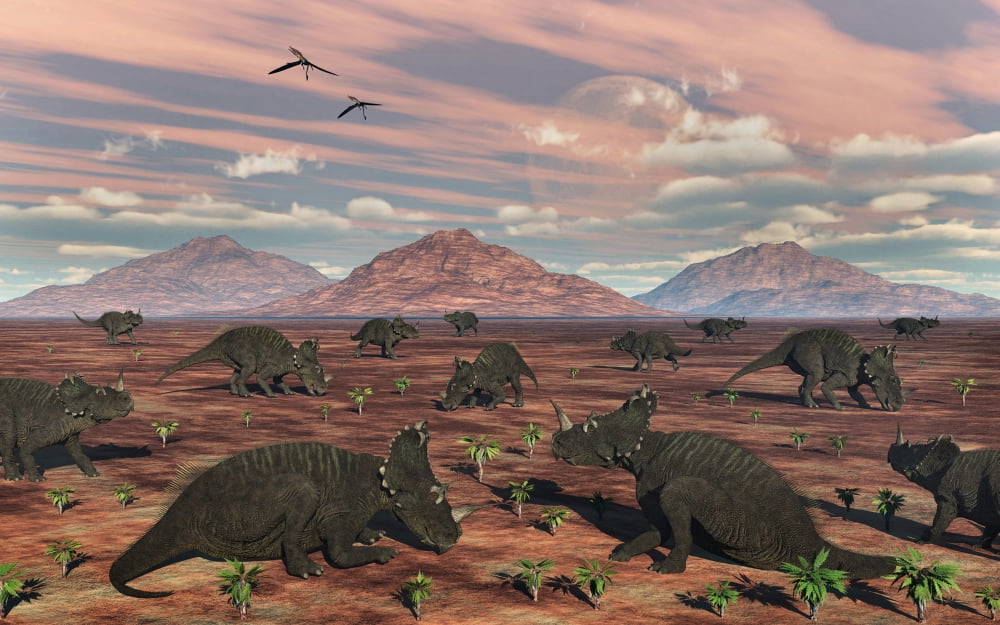 A herd of herbivorous Centrosaurus dinosaurs Canvas Art - Mark StevensonStocktrek Images (36 x 23)