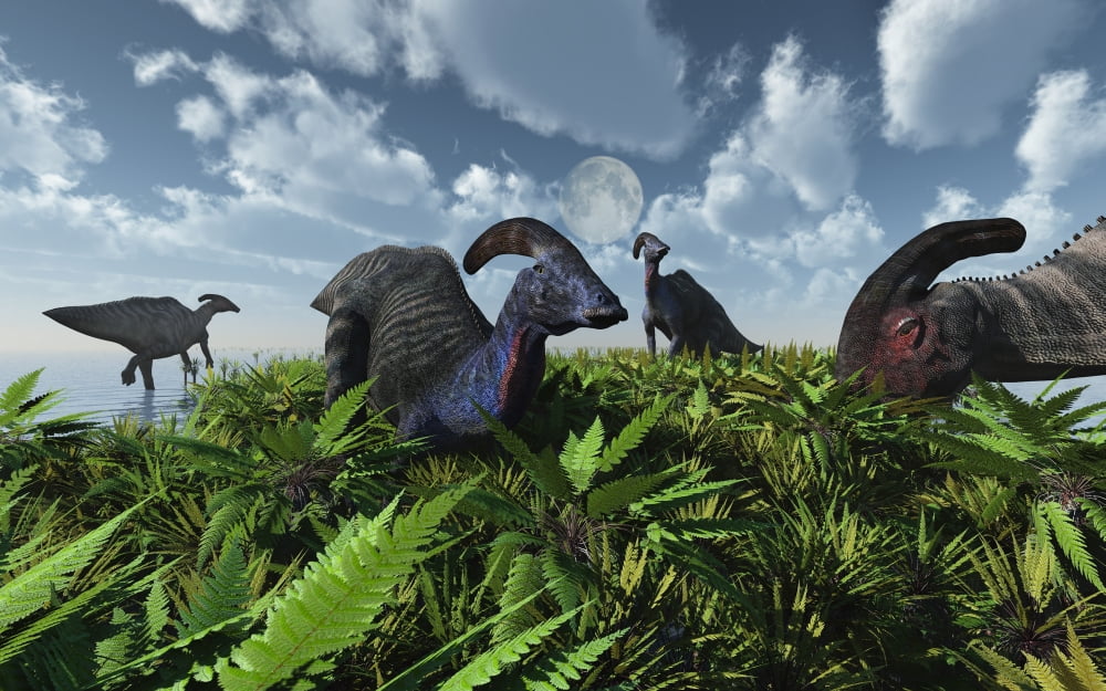 A herd of herbivorous Parasaurolophus dinosaurs grazing Canvas Art - Mark StevensonStocktrek Images (18 x 12)
