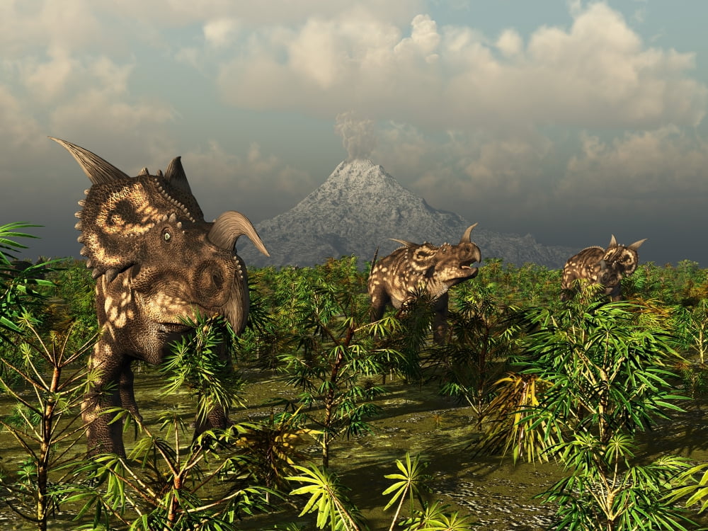 A herd of plant-eating Einiosaurus roam the plains Canvas Art - Walter MyersStocktrek Images (17 x 13)