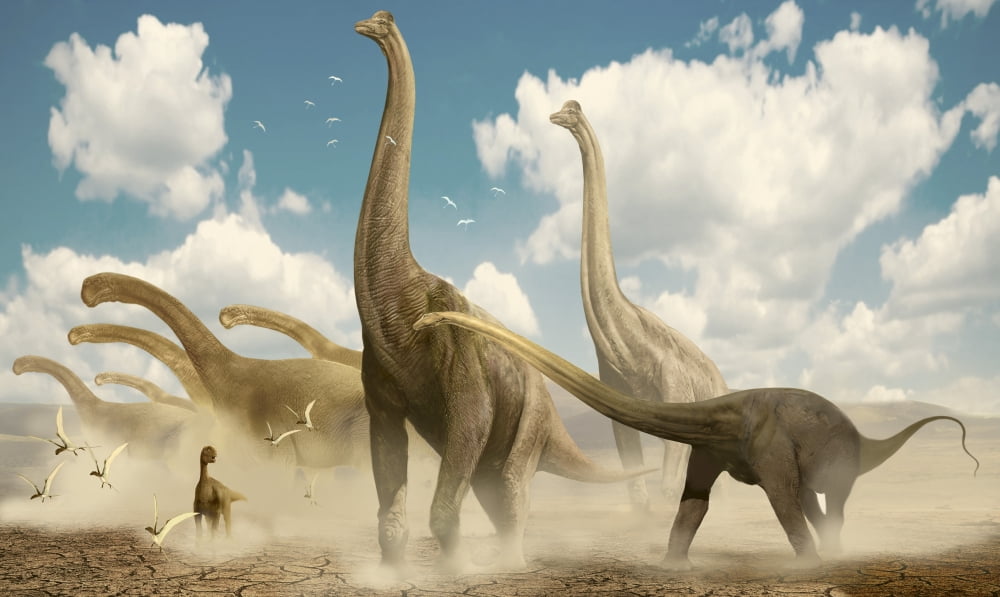 A herd of sauropods migrating together Canvas Art - Jan SovakStocktrek Images (36 x 22)