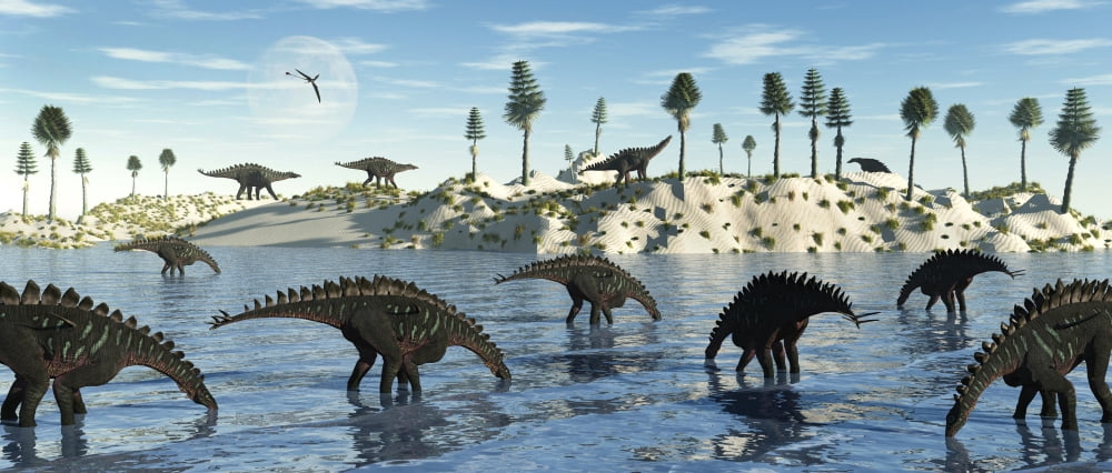 A herd of stegosaurid Miragaia dinosaurs grazing in a lake Canvas Art - Mark StevensonStocktrek Images (44 x 19)