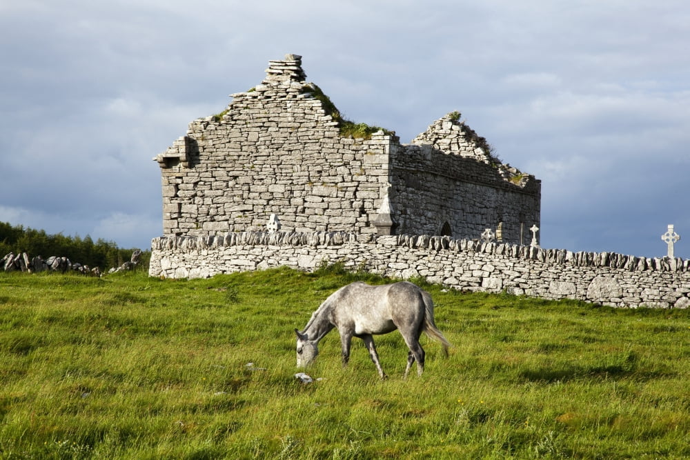 A horse grazing in a field with building ruins and a cemeteryBurren county clare ireland Canvas Art - Peter Zoeller Design Pics (18 x 12)