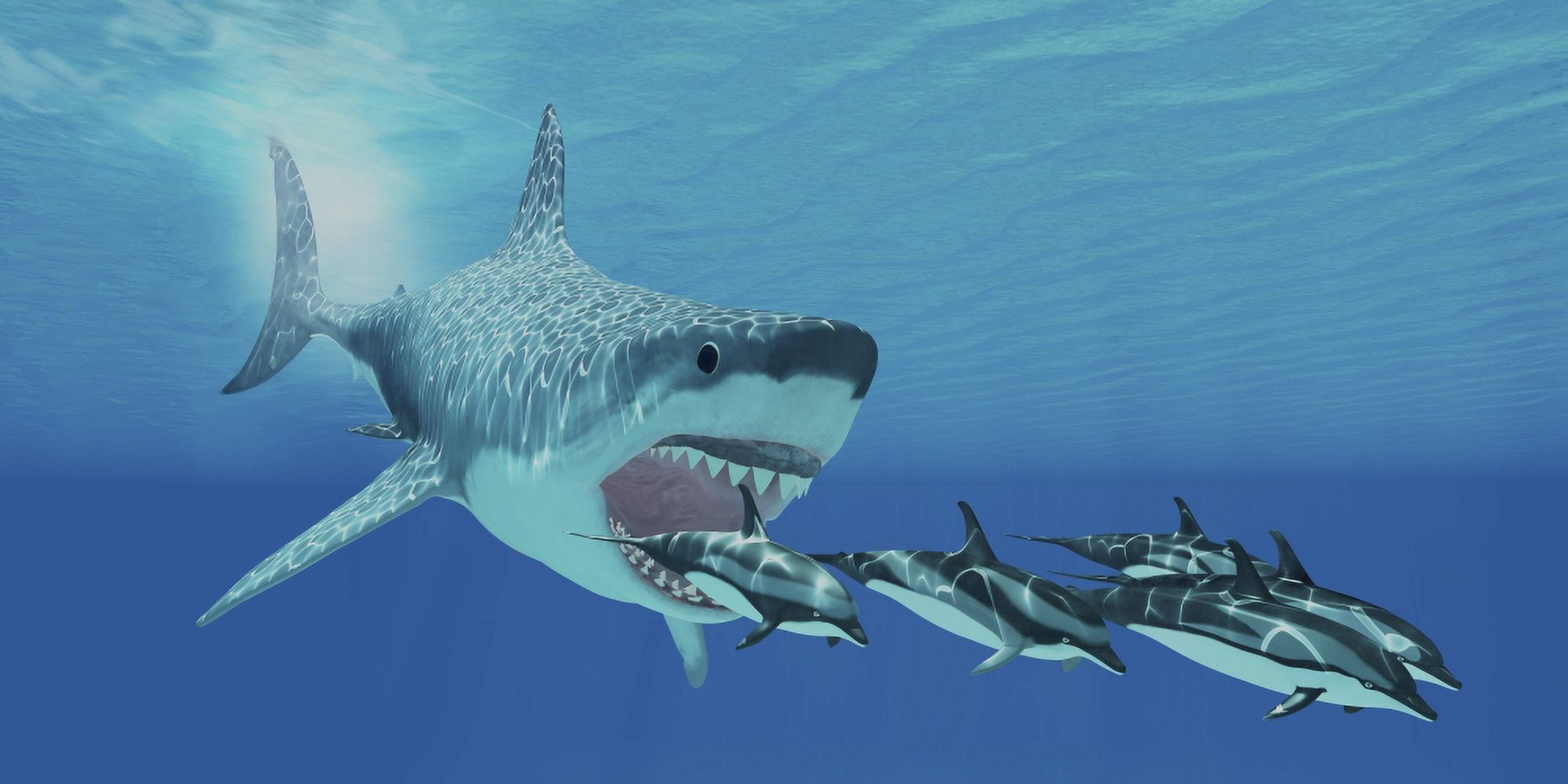A huge Megalodon shark swims after a pod of striped dolphins Canvas Art - Corey FordStocktrek Images (20 x 10)