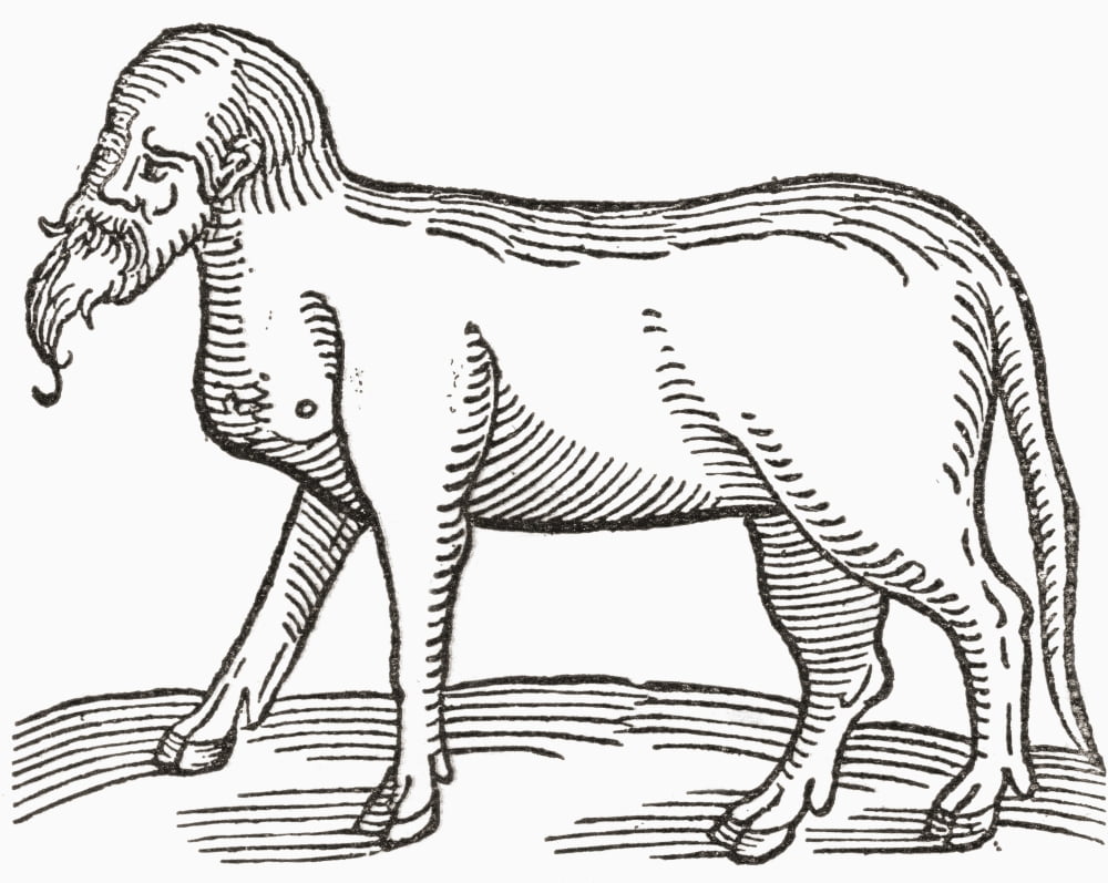 A human faced animal From The Strand Magazine published 1897 Canvas Art - Ken Welsh Design Pics (15 x 12)