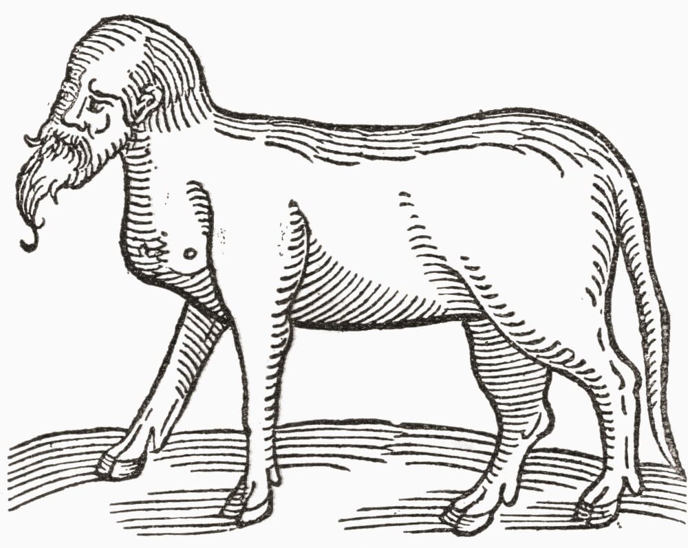 A human faced animal From The Strand Magazine published 1897 Canvas Art - Ken Welsh Design Pics (30 x 24)