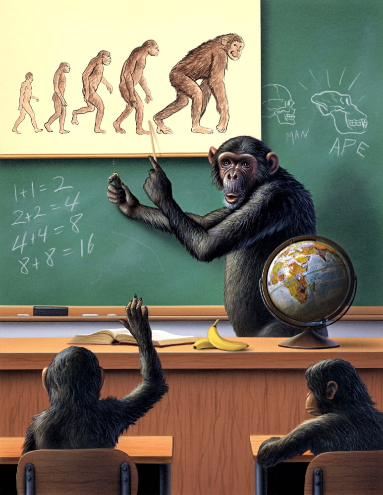 A humorous view of the reverse evolution of man Canvas Art - Jerry LoFaroStocktrek Images (13 x 16)