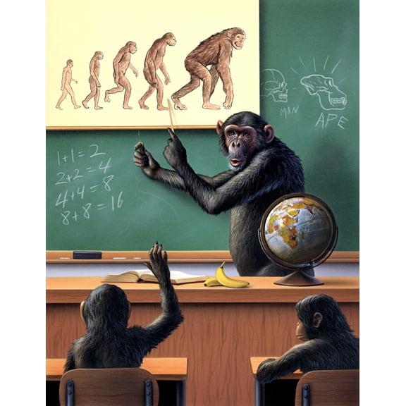 A humorous view of the reverse evolution of man Canvas Art - Jerry LoFaroStocktrek Images (13 x 16)