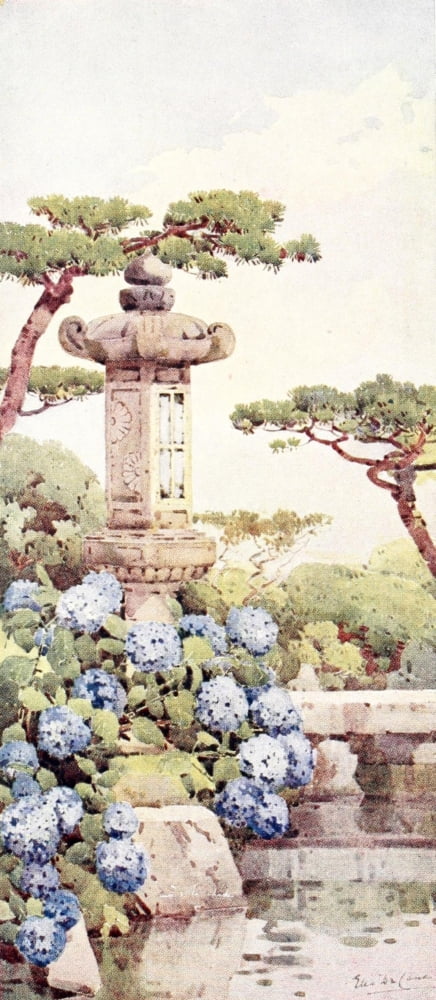 A hydrangea bush Flowers & Gardens of Japan 1908 Canvas Art - Ella Du Cane (24 x 36)