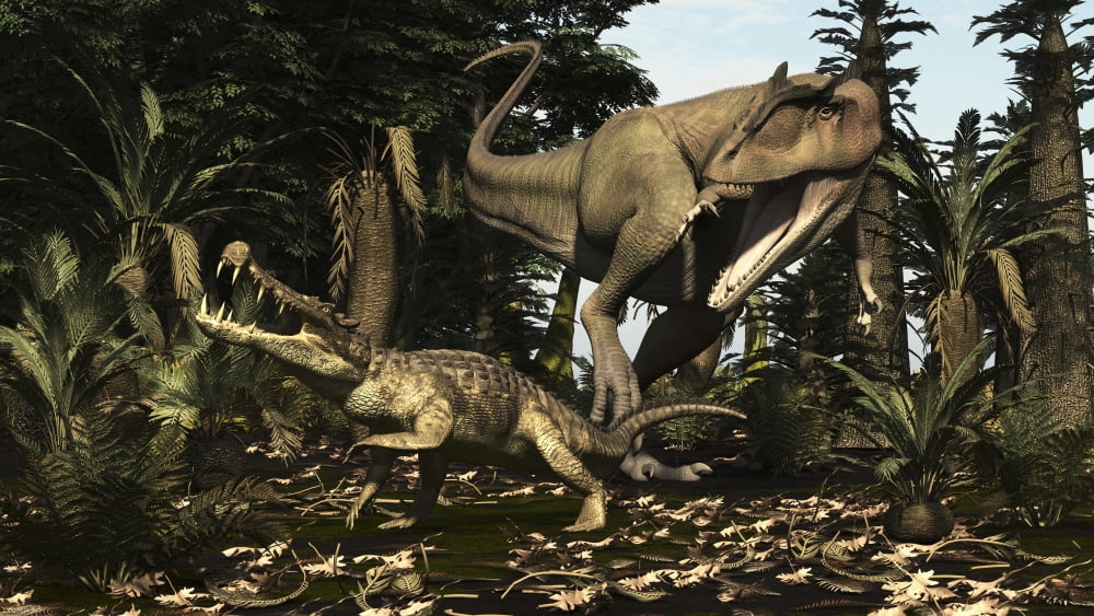 A large Carcharodontosaurus attacks a Kaprosuchus Canvas Art - Arthur DoretyStocktrek Images (19 x 11)