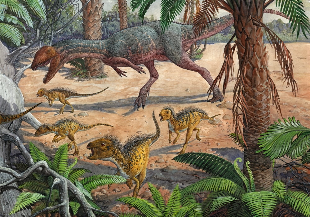 A large Dracovenator chasing a group of Heterodontosaurus dinosaurs Canvas Art - Sergey KrasovskiyStocktrek Images (34 x 24)
