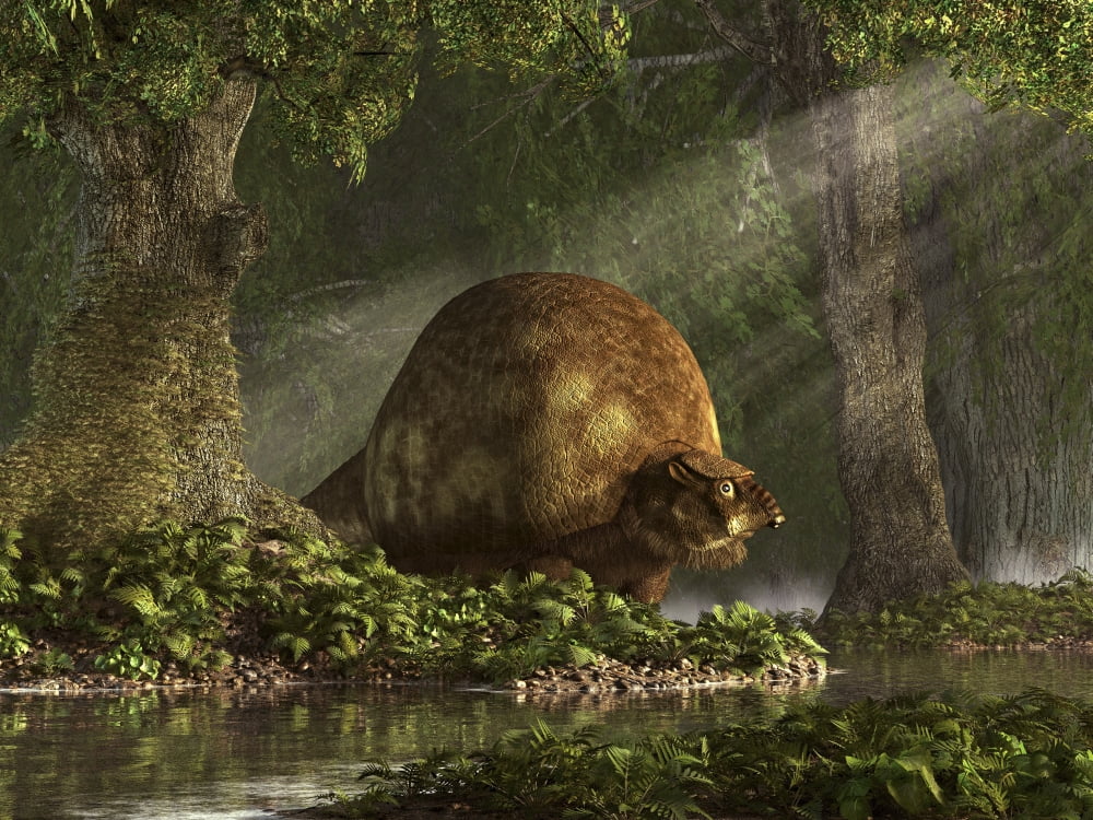 A large Glyptodon stands near the edge of a stream Canvas Art - Daniel EskridgeStocktrek Images (33 x 25)