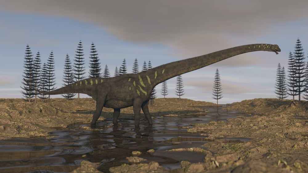 A large Mamenchisaurus walking along a dry riverbed Canvas Art - Kostyantyn IvanyshenStocktrek Images (37 x 21)