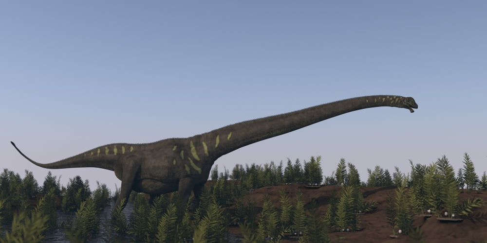 A large Mamenchisaurus walking along a dry riverbed Canvas Art - Kostyantyn IvanyshenStocktrek Images (39 x 20)