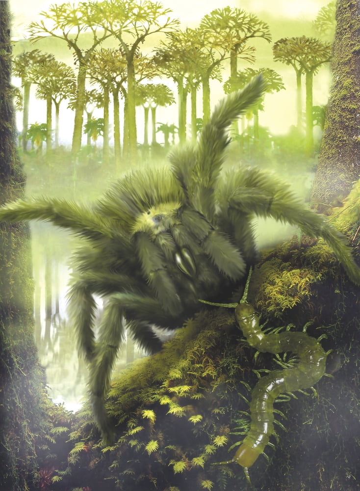A large Megarachne found in carboniferous forests Canvas Art - Jan SovakStocktrek Images (24 x 33)