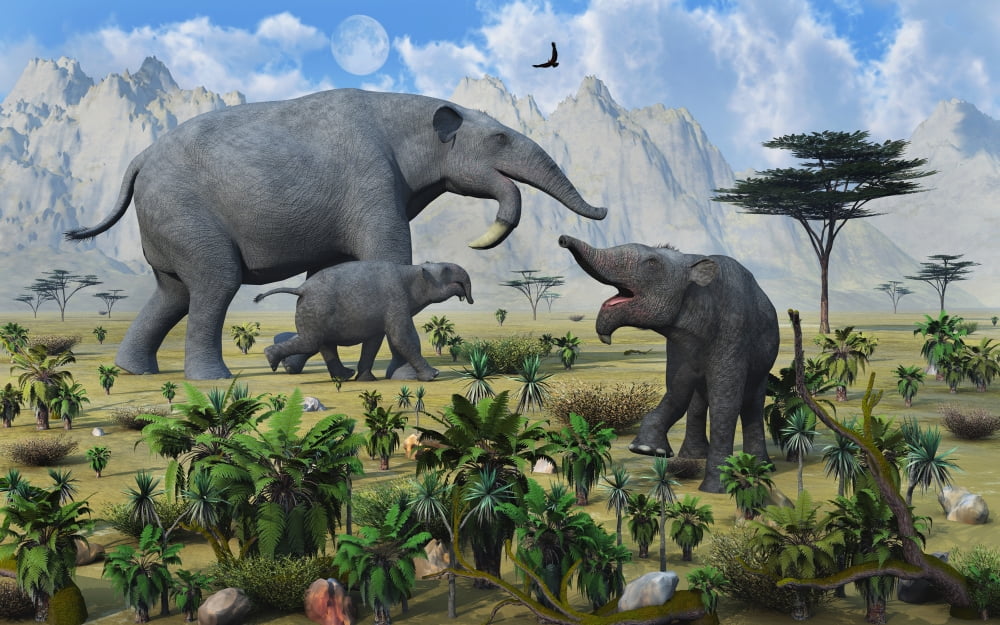 A large female Deinotherium with her twin calves Canvas Art - Mark StevensonStocktrek Images (18 x 12)