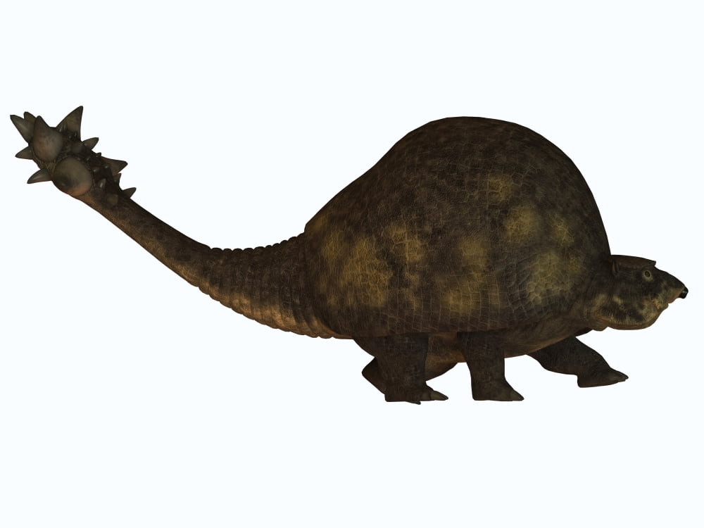 A large glyptodont from the Pleistocene epoch Canvas Art - Corey FordStocktrek Images (33 x 25)