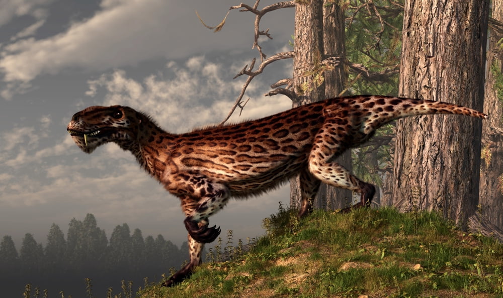 A leopard coated Lycaenops hunts among a forest Canvas Art - Daniel EskridgeStocktrek Images (19 x 11)