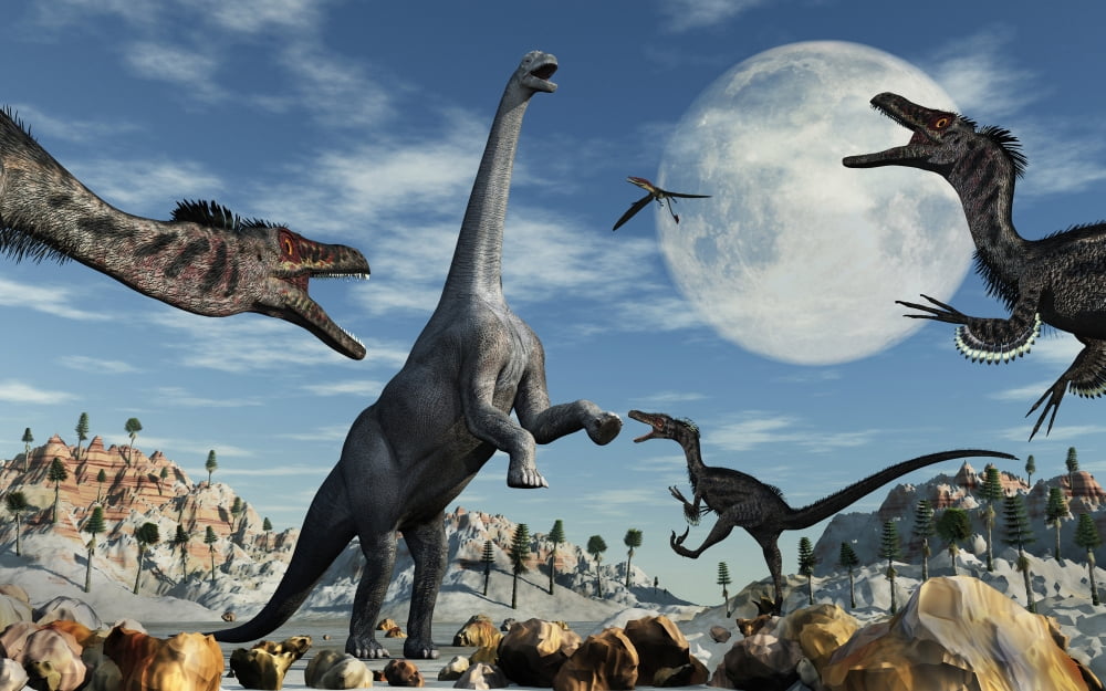 A lone Camarasaurus dinosaur is confronted by a pack of velociraptors Canvas Art - Mark StevensonStocktrek Images (18 x 12)