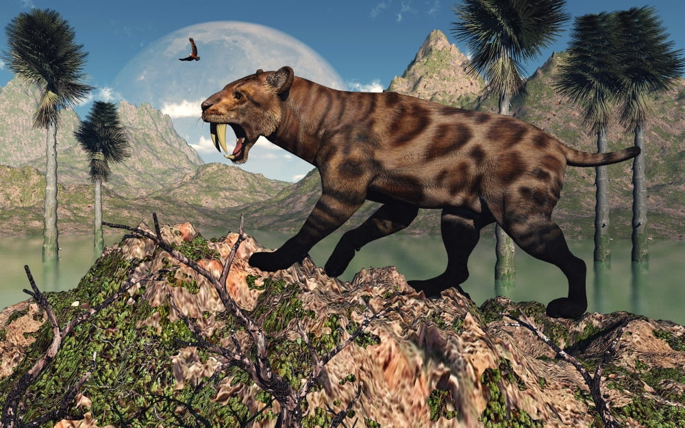A lone Sabre-Toothed Tiger on the lookout for its next meal Canvas Art - Mark StevensonStocktrek Images (36 x 23)