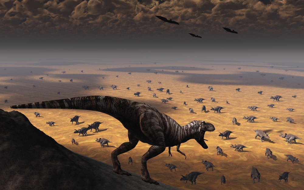 A lone T Rex looks down on a large herd of Triceratops Canvas Art - Mark StevensonStocktrek Images (18 x 12)