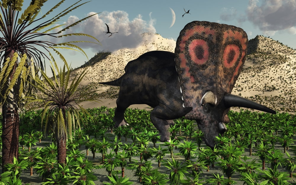 A lone Torosaurus dinosaur feeding on plants Canvas Art - Mark StevensonStocktrek Images (18 x 12)