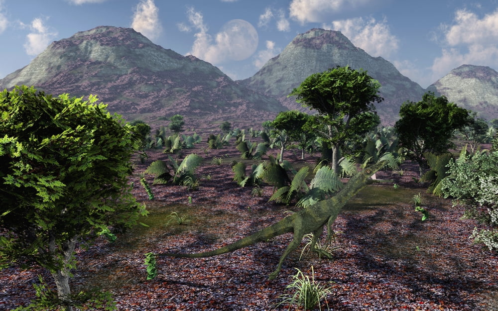 A lone carnivorous Juravenator during the Jurassic Period Canvas Art - Mark StevensonStocktrek Images (36 x 23)