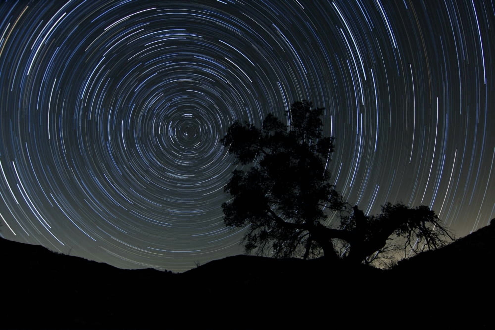 A lone oak tree silhouetted against a backdrop of star trails Canvas Art - Dan BarrStocktrek Images (35 x 23)