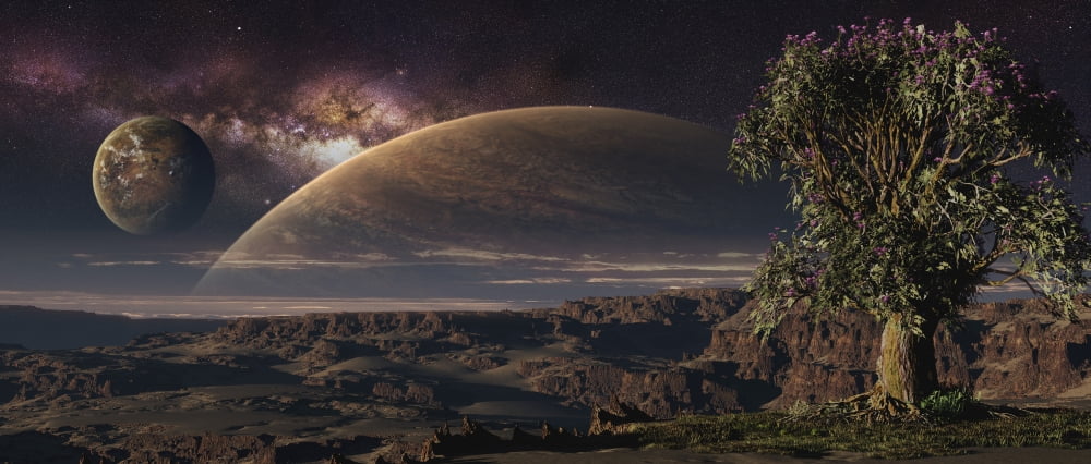 A lonely tree on an extraterrestrial world with a stunning view Canvas Art - Frieso HoevelkampStocktrek Images (31 x 14)