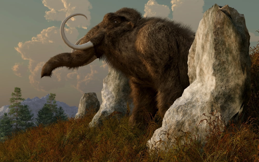 A mammoth standing among stones on a hillside Canvas Art - Daniel EskridgeStocktrek Images (18 x 12)