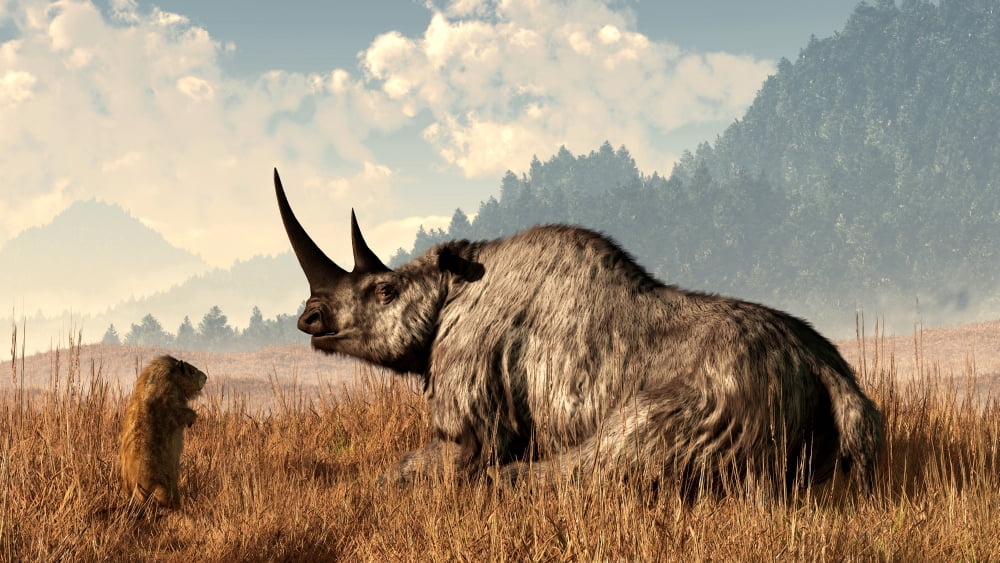 A marmot approaches an old and grey woolly rhinoceros Canvas Art - Daniel EskridgeStocktrek Images (38 x 22)
