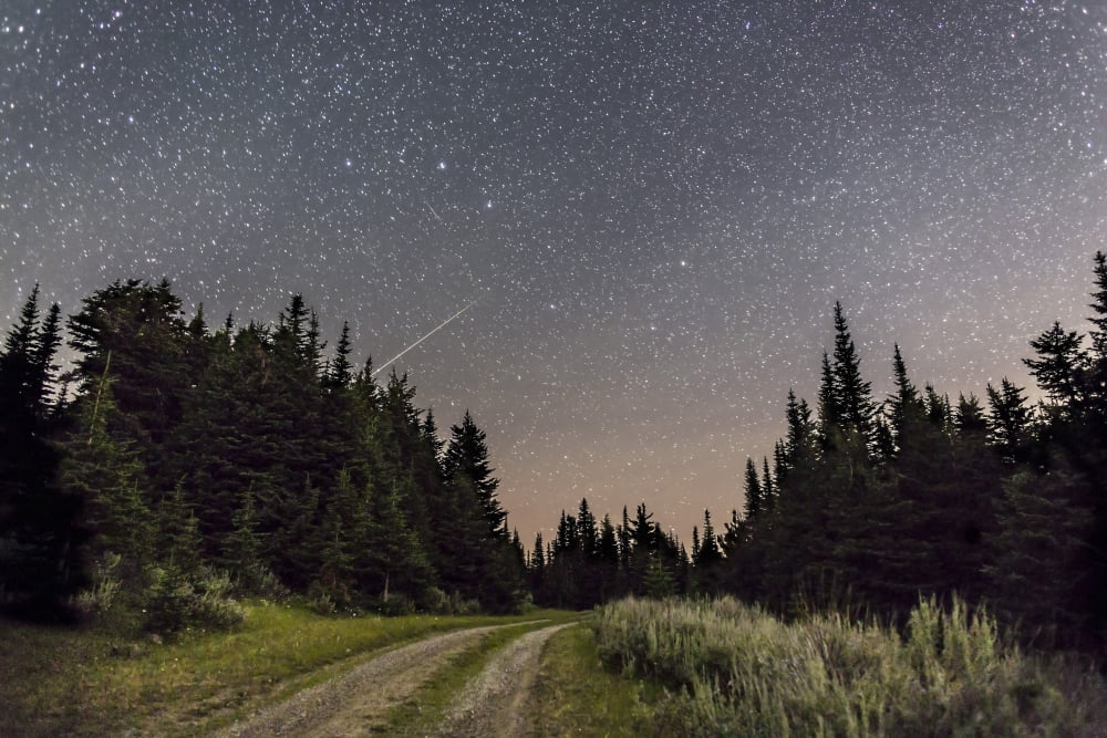 A meteor and the Big Dipper in the clear sky on the summit of Mount Kobau Canada Canvas Art - Alan DyerStocktrek Images (17 x 12)