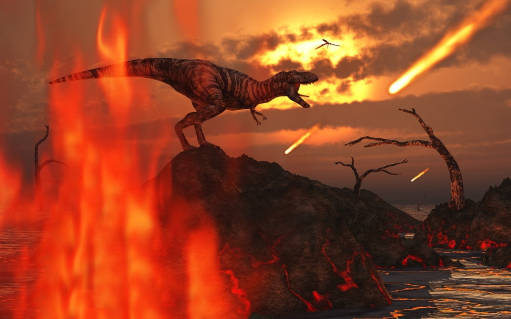 A mighty T Rex roars as fireballs fall from the sky Canvas Art - Mark StevensonStocktrek Images (18 x 12)