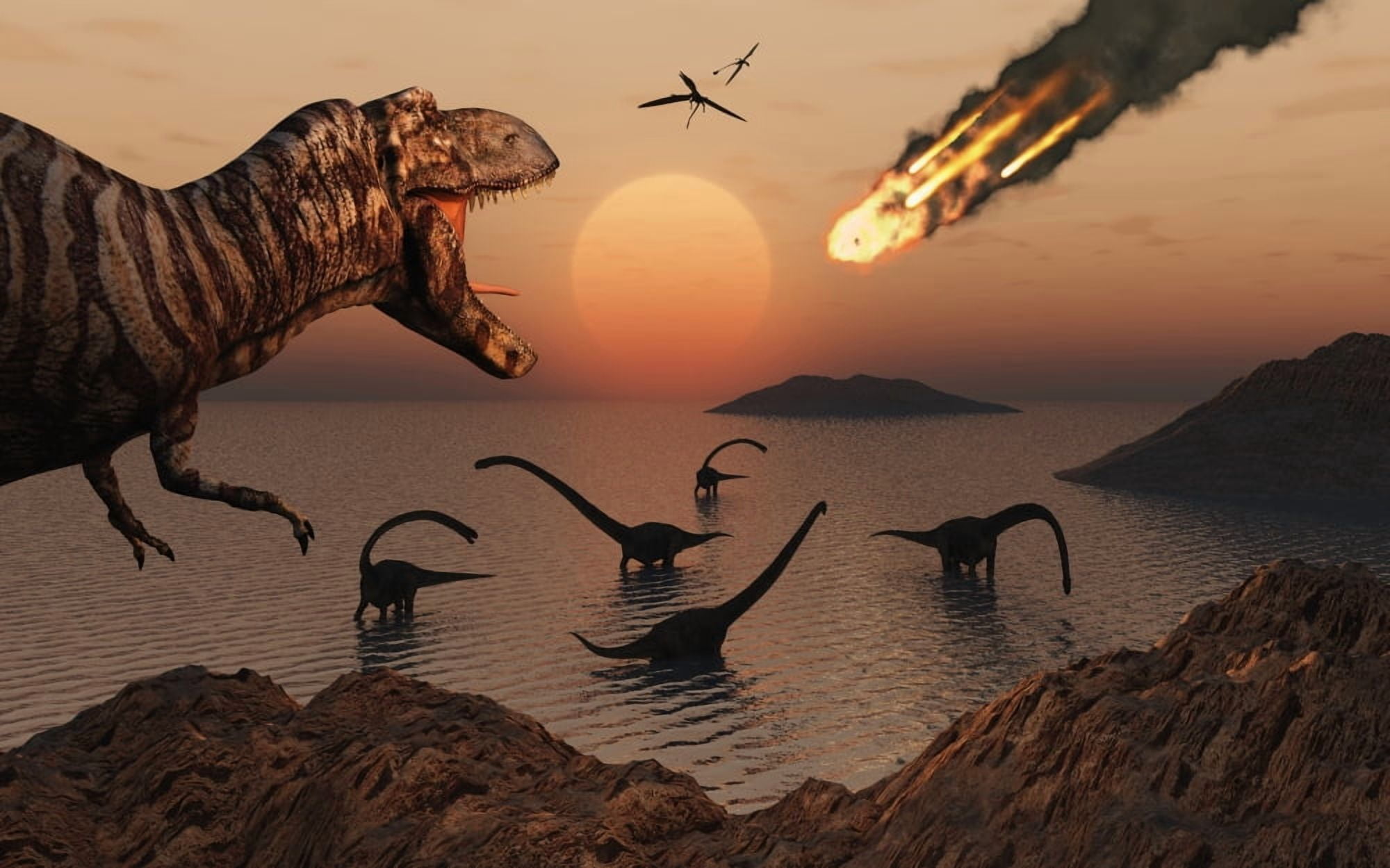 A mighty T Rex roars from overhead as a giant fireball falls from the sky Canvas Art - Mark StevensonStocktrek Images (18 x 12)