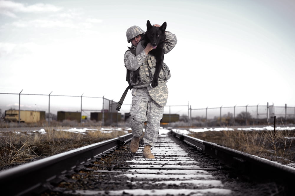 A military dog handler uses an over-the-shoulder technique to carry his dog Canvas Art - Stocktrek Images (35 x 23)